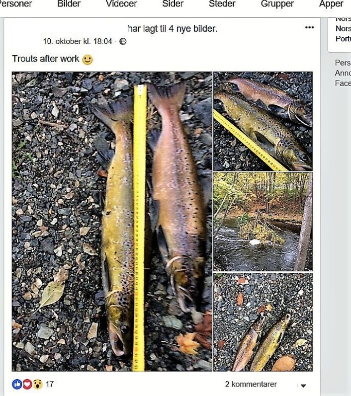 Tjuvfiskeren påstår han ikke har fisket i elva før, men på sin egen Facebook-side har han lagt ut bilder av laksefangst og fangststed i samme elv, to dager tidligere. Statusen er titulert: Trouts after work. Skjermdump Tjuvfiskeren påstår han ikke har fisket i elva før, men på sin egen Facebook-side har han lagt ut bilder av laksefangst og fangststed i samme elv, to dager tidligere. Statusen er titulert: Trouts after work. Skjermdump