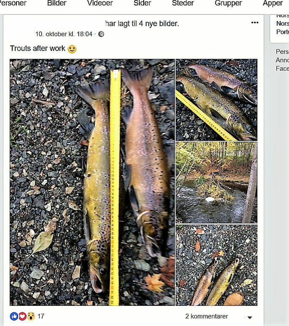 Tjuvfiskeren påstår han ikke har fisket i elva før, men på sin egen Facebook-side har han lagt ut bilder av laksefangst og fangststed i samme elv, to dager tidligere. Statusen er titulert: Trouts after work. Skjermdump
