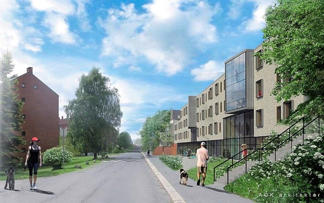 Den nye Dronning Ingrids hage skal stå klar i 2021, tett opp til Lille Tøyen hageby. Illustrasjon: ACK arkitekter Den nye Dronning Ingrids hage skal stå klar i 2021, tett opp til Lille Tøyen hageby. Illustrasjon: ACK arkitekter
