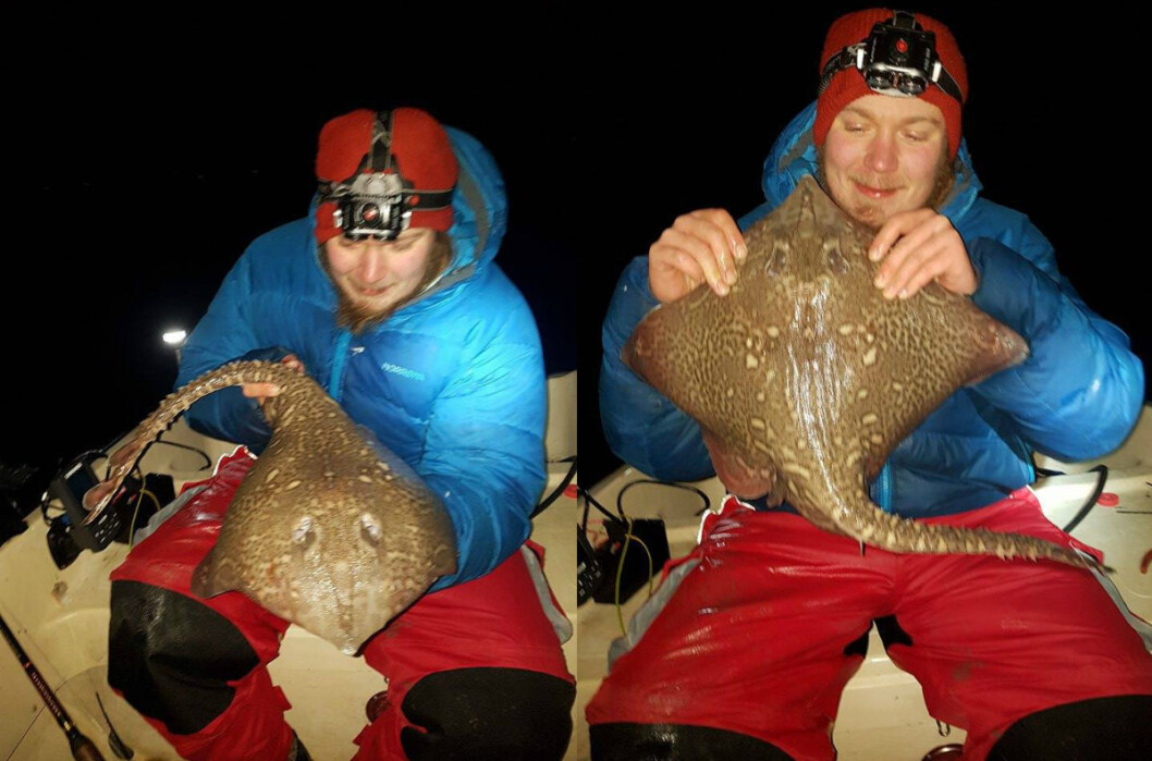 Vetle Westli fikk kloa i en piggskate. Foto: Privat Vetle Westli fikk kloa i en piggskate. Foto: Privat