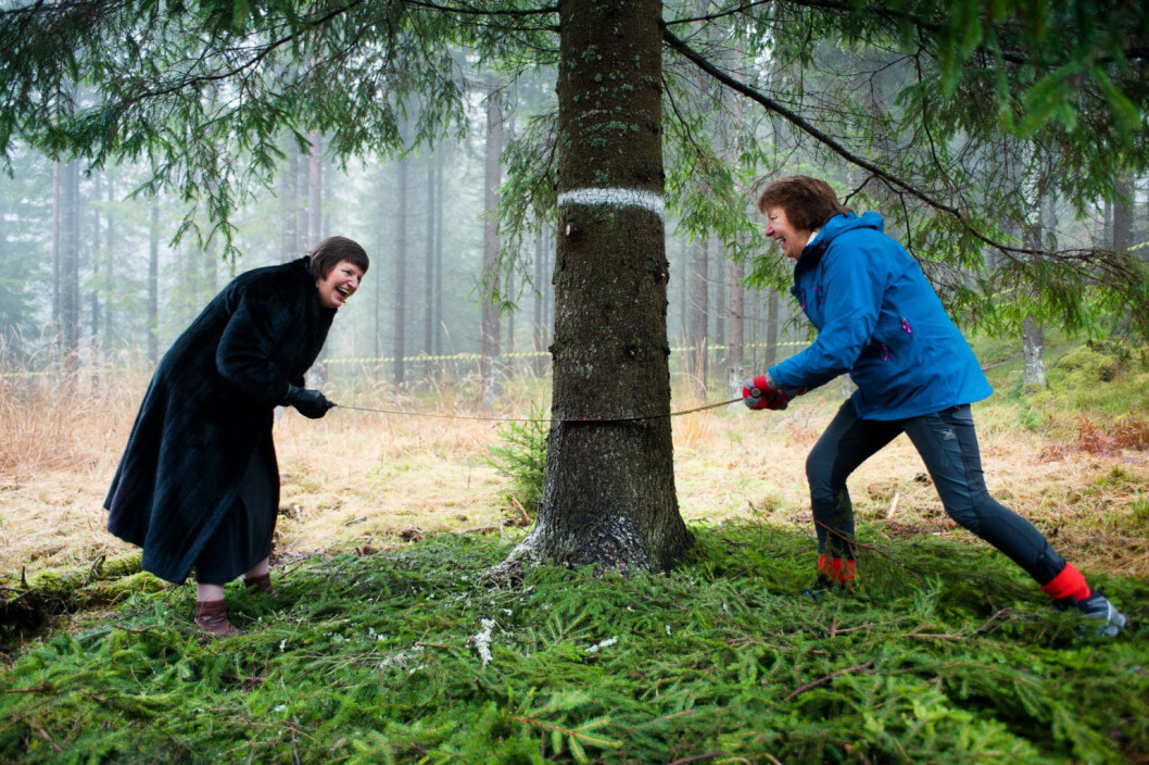 Ordfører Marianne Borgen med tidligere borgermester for bydelen Westminister i London, Christabel Flight. Bildet er fra julegranfellingen i 2015. Foto: Oslo kommune/Sturlason Ordfører Marianne Borgen med tidligere borgermester for bydelen Westminister i London, Christabel Flight. Bildet er fra julegranfellingen i 2015. Foto: Oslo kommune/Sturlason