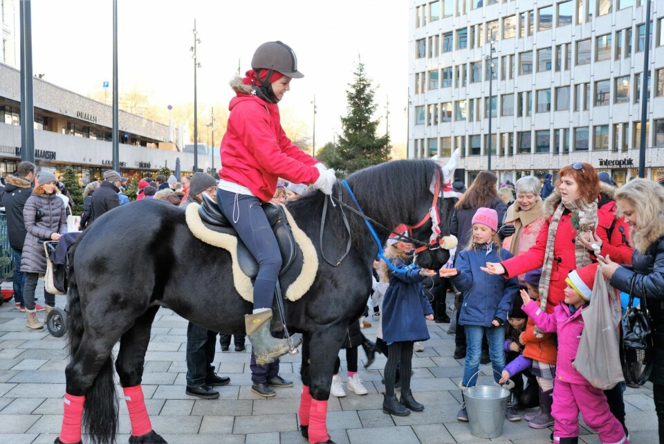 En hest var et populært innslag under julegrantenninga på Vikaterassen. Foto: Christian Boger