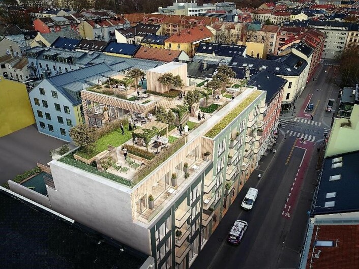 Slik planlegges takterrassen i Nordre gate 20-22 å se ut. Illustrasjon: Alliance arkitekter