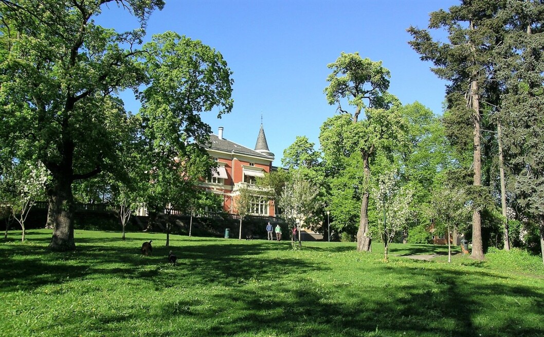 Langgårdsløkken. Foto: Mahlum Langgårdsløkken. Foto: Mahlum