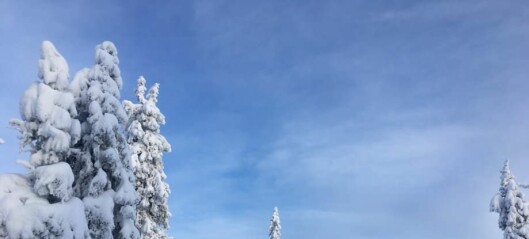 Internasjonale studenter strømmer til skiutleie for å få en ekte, norsk vinteropplevelse
