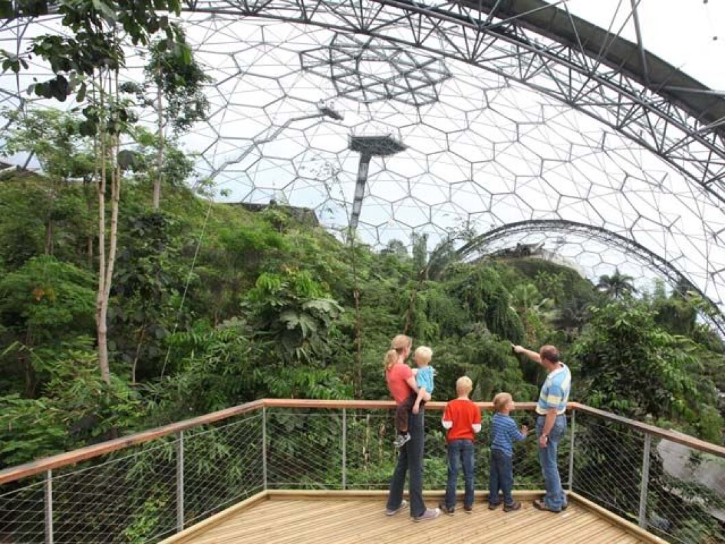 Veksthuset på Tøyen skal etter planen består av tre bobleformede bygg med ulike klimasoner. Eden Project i Cornwall (bildet) er en av inspirasjonskildene. Foto: UiO Veksthuset på Tøyen skal etter planen består av tre bobleformede bygg med ulike klimasoner. Eden Project i Cornwall (bildet) er en av inspirasjonskildene. Foto: UiO