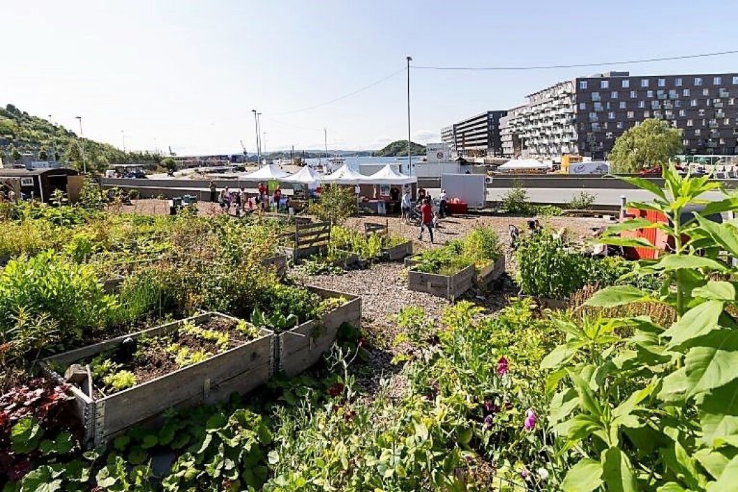 Oslo kommune ønsker å overtra driften av Losætra i Bjørvika fra Bjørvika Utvikling. Foto: Kristian Velkovskij Oslo kommune ønsker å overtra driften av Losætra i Bjørvika fra Bjørvika Utvikling. Foto: Kristian Velkovskij