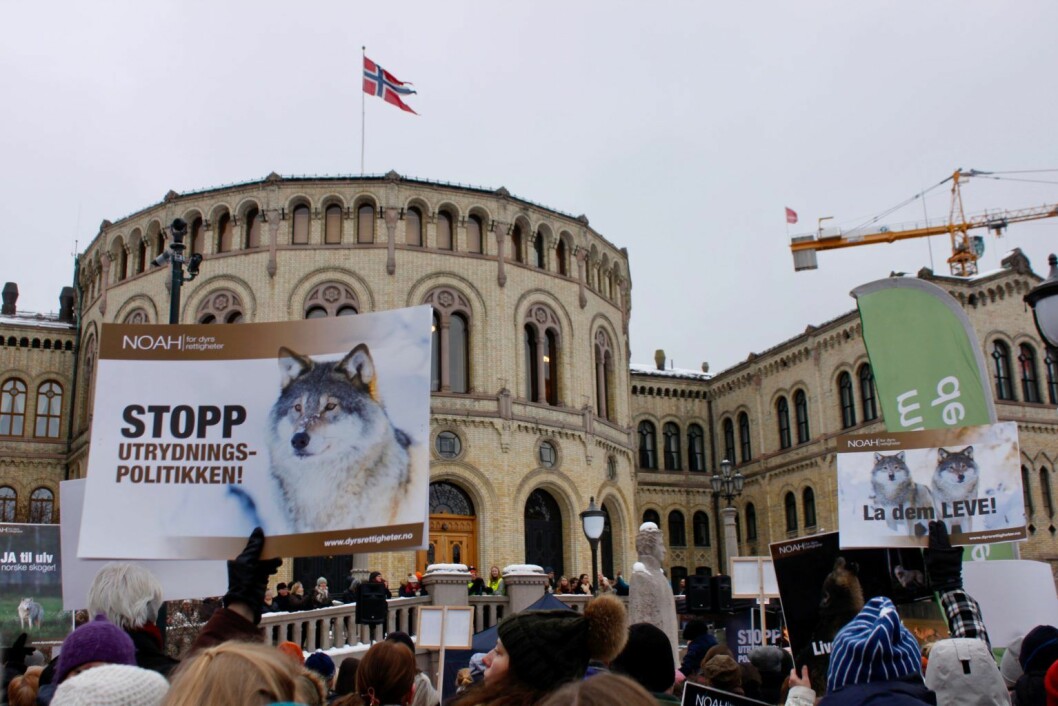 Markering for ulv utenfor Stortinget. Foto: Anne Lise Nygaard
