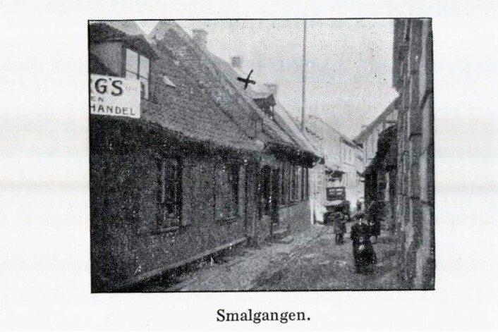 Foto fra boken av Mirjam Devold, 1930, De ulykkelige venn Foto fra boken av Mirjam Devold, 1930, De ulykkelige venn