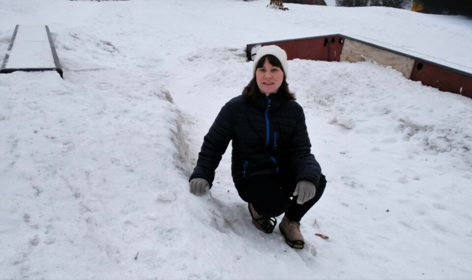 Byråd Rina Mariann Hansen ønsker velkommen til skiløype og 'jibbepark' i Torshovdalen. Foto: Christian Boger