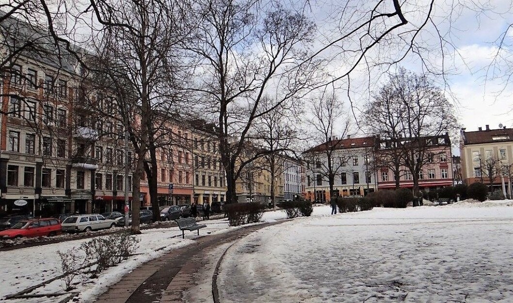 Pensjonisten fra Grunerløkka fortalte om et fire tiår langt bruk av amfetamin og hasj. Foto: Bohemian trails Pensjonisten fra Grunerløkka fortalte om et fire tiår langt bruk av amfetamin og hasj. Foto: Bohemian trails