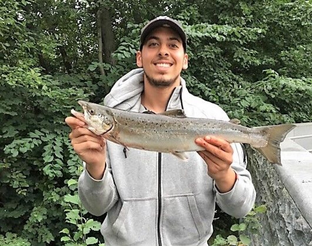 Urban Anglers' Ahmed El Feky mener det hadde vært stas å få laks til å vandre opp fra sjøen, og til Alna. Foto: Frode Dalen Urban Anglers' Ahmed El Feky mener det hadde vært stas å få laks til å vandre opp fra sjøen, og til Alna. Foto: Frode Dalen