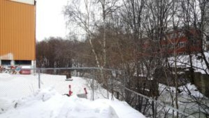 Rett ved fabrikklokalene renner Akerselva. Her skal det komme et "midlertidig grøntområde" mens man venter på at skolen skal bygges, som nok vil skje om ganske mange år. Kanskje turveien fortsetter langs elva, heller enn dagens omvei rundt fabrikken? Foto: Tarjei Kidd Olsen Rett ved fabrikklokalene renner Akerselva. Her skal det komme et "midlertidig grøntområde" mens man venter på at skolen skal bygges, som nok vil skje om ganske mange år. Kanskje turveien fortsetter langs elva, heller enn dagens omvei rundt fabrikken? Foto: Tarjei Kidd Olsen
