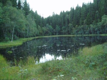 Nordre Puttjern ble i 1997 rammet av synkende vannstand på grunn av arbeid med tunnel for flytoget. Foto: Skiforeningen Nordre Puttjern ble i 1997 rammet av synkende vannstand på grunn av arbeid med tunnel for flytoget. Foto: Skiforeningen