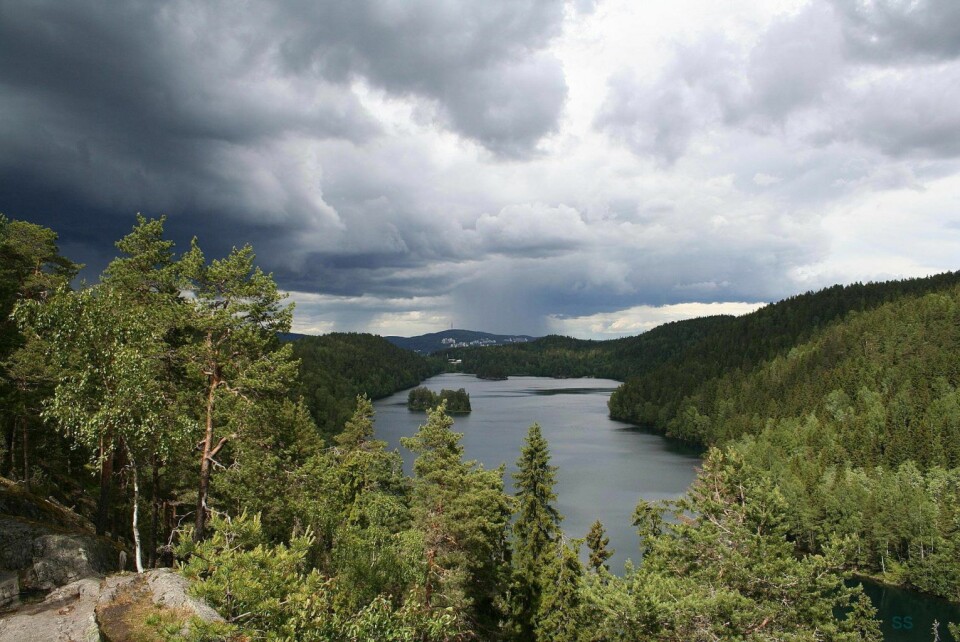 Utsikten over Lutvann mot Romsås. Foto: Steinar Saghaug