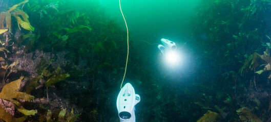 Nå skal svømmende droner finne søppel i Oslofjorden