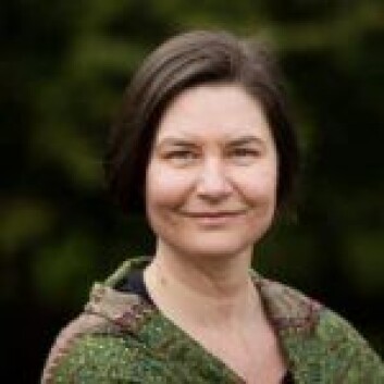 - Det er mange gode paroler mot menns vold mot kvinner og krav til bedre rettsvern og tiltak, sier Hanne Størset, fra 8. mars-komiteen. Foto: Privat - Det er mange gode paroler mot menns vold mot kvinner og krav til bedre rettsvern og tiltak, sier Hanne Størset, fra 8. mars-komiteen. Foto: Privat