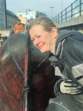 Zinnia Gjengstø tjærebrer en tradisjonsbåt Akerselva trebåtforening har hentet fra Nordmøre. Foto: Tove Elise Ihler Zinnia Gjengstø tjærebrer en tradisjonsbåt Akerselva trebåtforening har hentet fra Nordmøre. Foto: Tove Elise Ihler