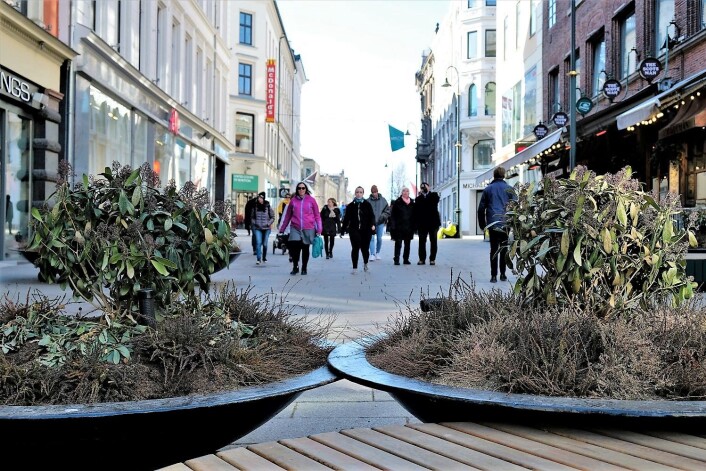 Terrorsikring med blomsterpotter er det eneste tiltaket som er innført for å minske trafikken på Karl Johan. Dette har ikke noe med Bilfritt byliv å gjøre. Foto: Christian Boger Terrorsikring med blomsterpotter er det eneste tiltaket som er innført for å minske trafikken på Karl Johan. Dette har ikke noe med Bilfritt byliv å gjøre. Foto: Christian Boger
