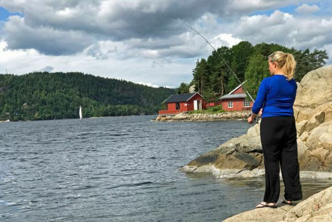 – Vedtaket om en plan for Oslofjorden vil  tilrettelegge for mer friluftsliv og bedre miljøet, mener Norsk Friluftsliv.
