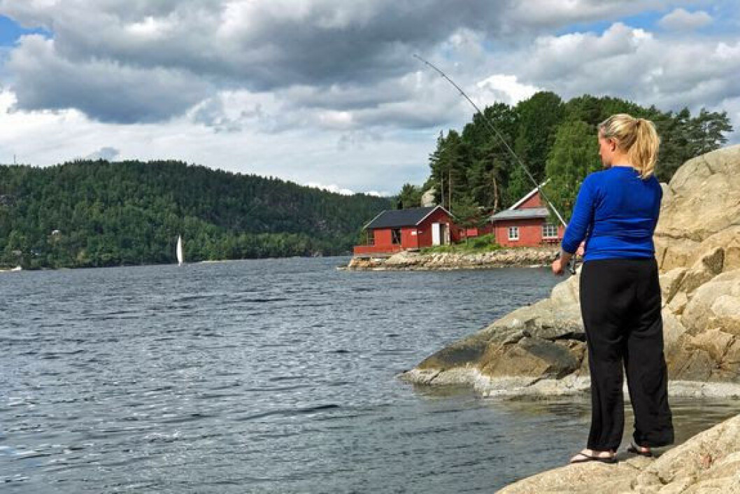 – Vedtaket om en plan for Oslofjorden vil tilrettelegge for mer friluftsliv og bedre miljøet, mener Norsk Friluftsliv. – Vedtaket om en plan for Oslofjorden vil tilrettelegge for mer friluftsliv og bedre miljøet, mener Norsk Friluftsliv.