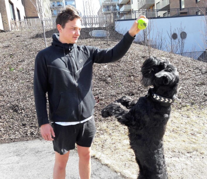 Hunden Kikki bor i Hans Nordahls gate. Hun vil gjerne vise fram noen balltriks. Her med kompis Aleksander Warvik. At gata de bor i er oppkalt etter en fotballspiller, det visste de ikke. Foto: Anders Høilund Hunden Kikki bor i Hans Nordahls gate. Hun vil gjerne vise fram noen balltriks. Her med kompis Aleksander Warvik. At gata de bor i er oppkalt etter en fotballspiller, det visste de ikke. Foto: Anders Høilund