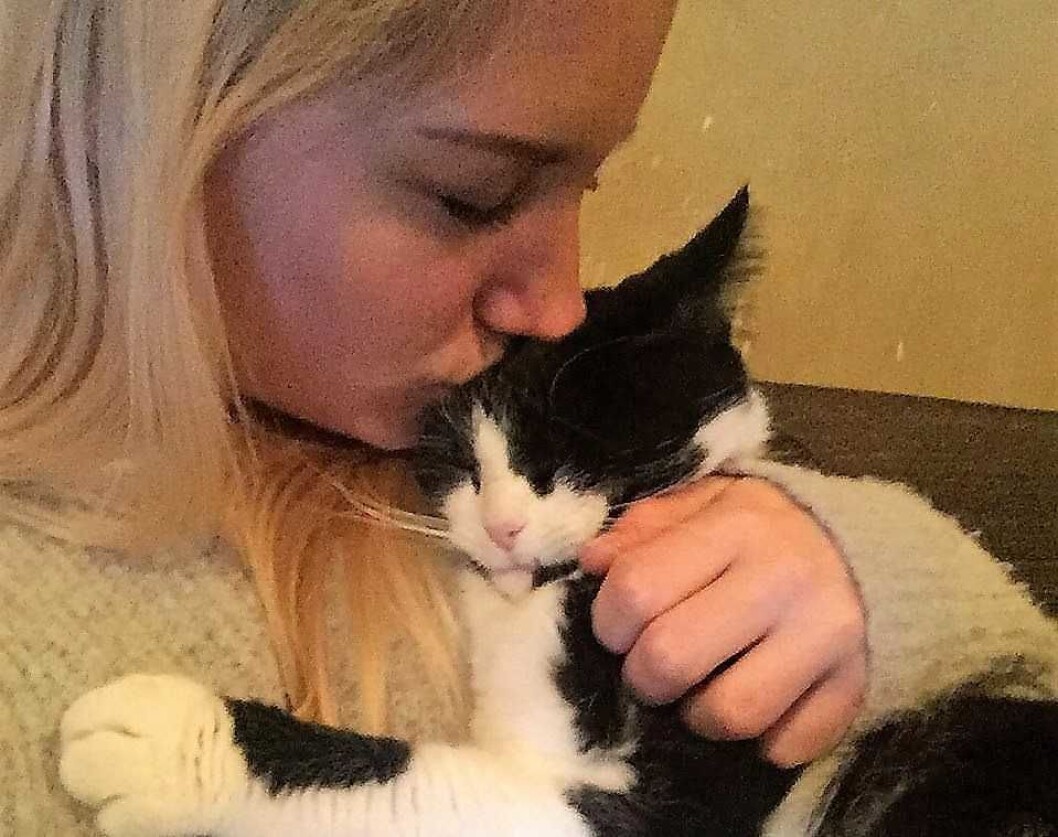 Pusi ble funnet etter over tre uker på gata. — Vi var helt desperate i letingen etter katten vår. Uten hjelp fra Dyrebar.no og Foreningen for Omplassering av Dyr hadde vi aldri kunnet kose med Pusi igjen, sier katteeier Thali M Liberman. Foto: Thali M Liberman Pusi ble funnet etter over tre uker på gata. — Vi var helt desperate i letingen etter katten vår. Uten hjelp fra Dyrebar.no og Foreningen for Omplassering av Dyr hadde vi aldri kunnet kose med Pusi igjen, sier katteeier Thali M Liberman. Foto: Thali M Liberman