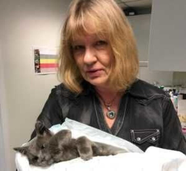 Katteekspert Grethe Bøhnsdalen i Nittedal driver Katter i Nød. Hun gir katteeiere gode råd for å unngå at katten roter seg bort. Foto: Privat Katteekspert Grethe Bøhnsdalen i Nittedal driver Katter i Nød. Hun gir katteeiere gode råd for å unngå at katten roter seg bort. Foto: Privat