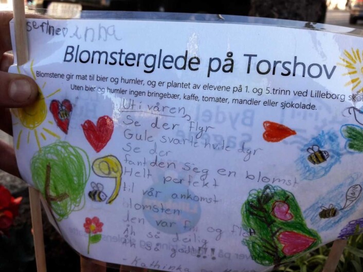 Førsteklassingene har tegnet, og femteklassingene har skrevet på plakatene. Det er verd bryet å bøye seg ned for å se nøye. Denne plakaten er laget av Josefine, Anna og Kathinka. Foto: Anders Høilund Førsteklassingene har tegnet, og femteklassingene har skrevet på plakatene. Det er verd bryet å bøye seg ned for å se nøye. Denne plakaten er laget av Josefine, Anna og Kathinka. Foto: Anders Høilund