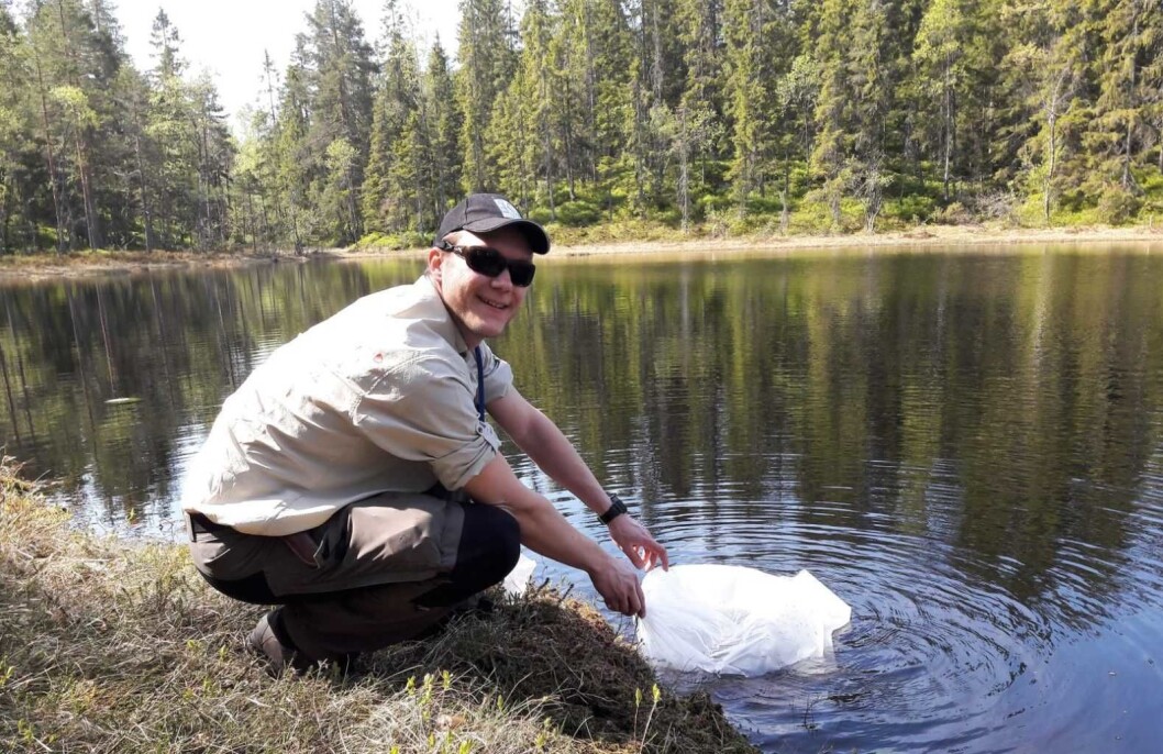 Han setter ut fisk og kontrollerer fiskekort. Erlend Dam Søby kan nesten alt om fisket i Lillomarka. Foto: Anders Høilund Han setter ut fisk og kontrollerer fiskekort. Erlend Dam Søby kan nesten alt om fisket i Lillomarka. Foto: Anders Høilund