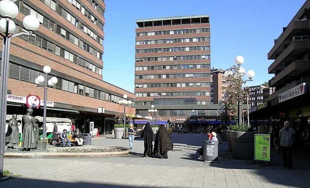 Look to Tøyen. Der har beboere begynt å ta grepet om den lokale bolignøden. Foto: Mahlum / Wikipedia Look to Tøyen. Der har beboere begynt å ta grepet om den lokale bolignøden. Foto: Mahlum / Wikipedia