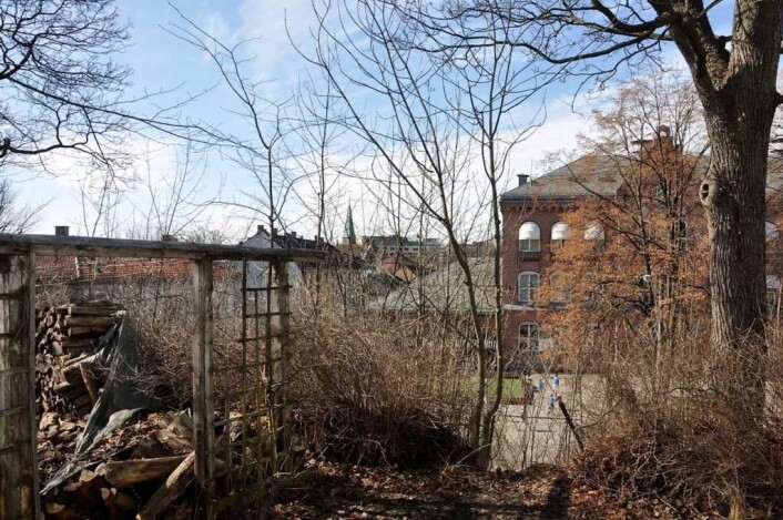 Tomta det strides om på hjørnet av Bolteløkka Allé og Eugenies gate i bydel St. Hanshaugen. Foto: Arnsten Linstad Tomta det strides om på hjørnet av Bolteløkka Allé og Eugenies gate i bydel St. Hanshaugen. Foto: Arnsten Linstad