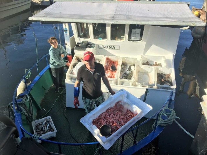 Ved pir 4 på Rådhusbrygga ligger fiskebåtene som selger fersk fisk. Foto: Amalie Amalie Aune Bjerkem Ved pir 4 på Rådhusbrygga ligger fiskebåtene som selger fersk fisk. Foto: Amalie Amalie Aune Bjerkem