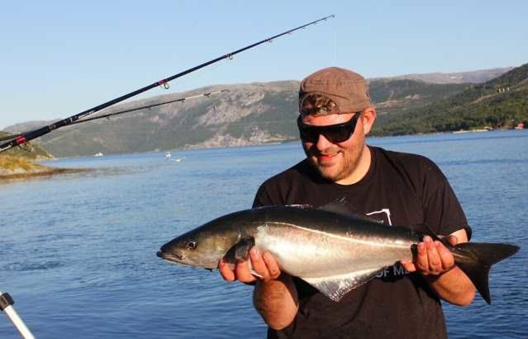 Seien byr på eksplosiv moro, skrikende sneller og en smaksopplevelse på tallerkenen sammen med løk og poteter. Illustrasjonsfoto Egil Bøe Seien byr på eksplosiv moro, skrikende sneller og en smaksopplevelse på tallerkenen sammen med løk og poteter. Illustrasjonsfoto Egil Bøe