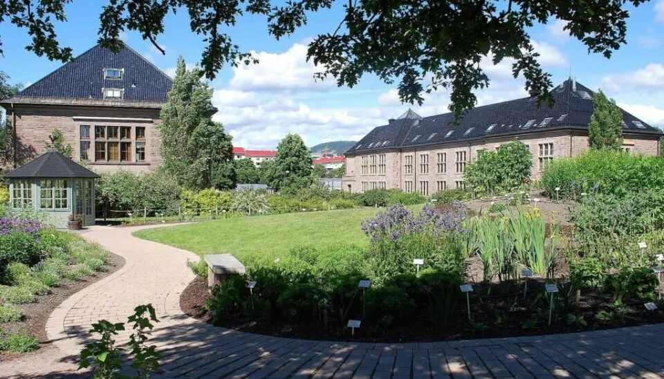 Botanisk hage er en del av Universitetet i Oslo, som er stengt på grunn av koronaviruset.