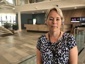� Vi har fulgt opp alle anbefalinger i rapporten fra Ernst & Young, sier HR-direktør Marit Lea Sivertsen i Bymiljøetaten. Foto: Richard Kongsteien/Oslo kommune � Vi har fulgt opp alle anbefalinger i rapporten fra Ernst & Young, sier HR-direktør Marit Lea Sivertsen i Bymiljøetaten. Foto: Richard Kongsteien/Oslo kommune