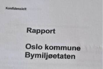 Konfidensielt står det på toppen av rapporten fra Ernst & Young. Konfidensielt står det på toppen av rapporten fra Ernst & Young.
