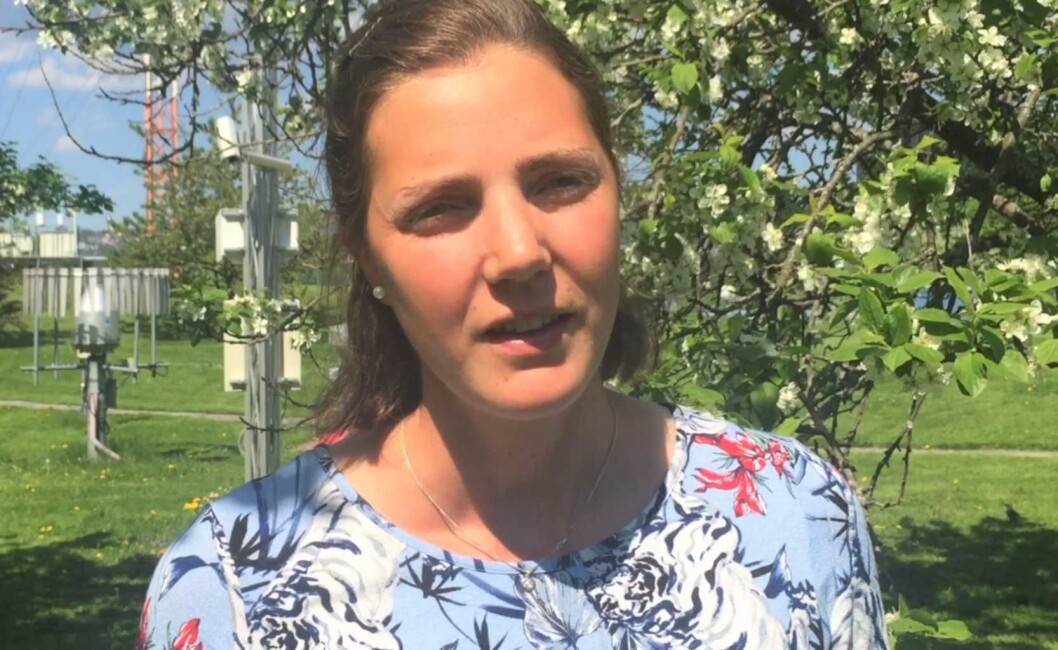 Meteorolog Eldbjørg Dirdal Moxnes. Skjermbilde: Thea Leivestad Meteorolog Eldbjørg Dirdal Moxnes. Skjermbilde: Thea Leivestad