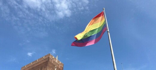 Oslo-politiet undersøker om påtent regnbueflagg på Haugenstua var hatkriminalitet