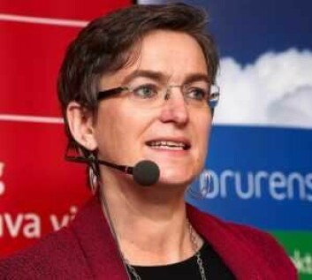 Direktør for miljødirektoratet, Ellen Hambro. Foto: Miljødirektoratet