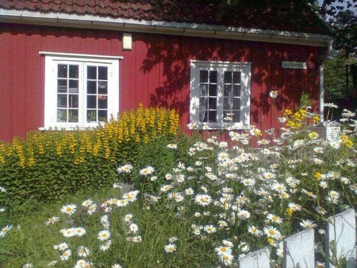I Hønse-Lovisas hus kan du få deg en kopp kaffe og vafler. Men du nyter blomstene og livet langs Akerselva. Foto: Wikimedia I Hønse-Lovisas hus kan du få deg en kopp kaffe og vafler. Men du nyter blomstene og livet langs Akerselva. Foto: Wikimedia