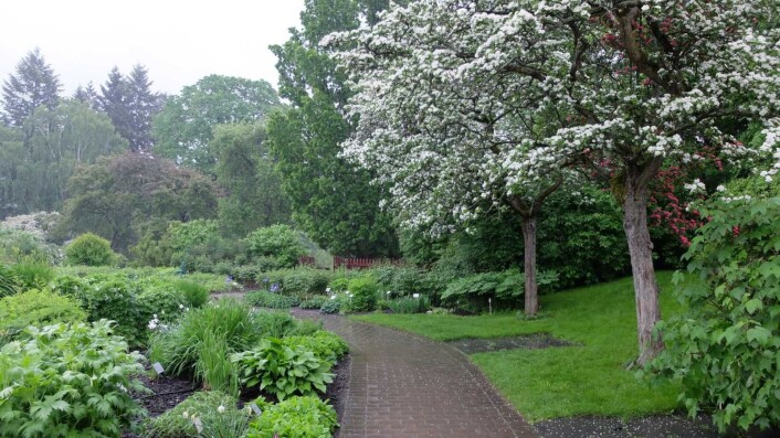 Et besøk ved Naturhistorisk museum kan kombineres med en spasertur i Botanisk hage. Foto: Ragna Bruland Et besøk ved Naturhistorisk museum kan kombineres med en spasertur i Botanisk hage. Foto: Ragna Bruland