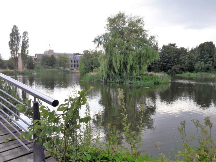 Smedstaddammen var generøs, og alle fiskerne som var med Urban Anglers på tur fikk fisk. Foto: Anders Høilund Smedstaddammen var generøs, og alle fiskerne som var med Urban Anglers på tur fikk fisk. Foto: Anders Høilund