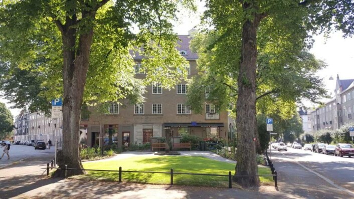 Lille Jacob i sin lille helhet. Foto: Tarjei Kidd Olsen Lille Jacob i sin lille helhet. Foto: Tarjei Kidd Olsen