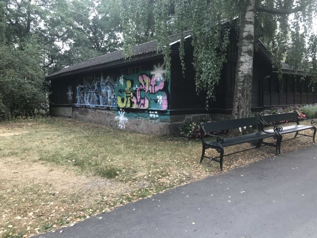 Et nedmalt Bjørnehuset var synet som møtte naboen Sara Greer Middelthon Moe denne uka. Foto: Middelthon Moe Et nedmalt Bjørnehuset var synet som møtte naboen Sara Greer Middelthon Moe denne uka. Foto: Middelthon Moe