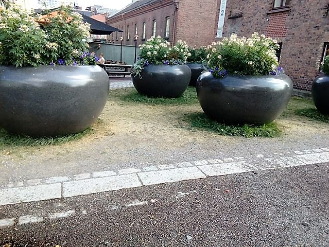 Dette er trolig steinurnene som før sto utenfor Rådhuset. Flere av dem står nå ved Cafe Skansen. Foto: Gjertrud Tveitevåg Dette er trolig steinurnene som før sto utenfor Rådhuset. Flere av dem står nå ved Cafe Skansen. Foto: Gjertrud Tveitevåg