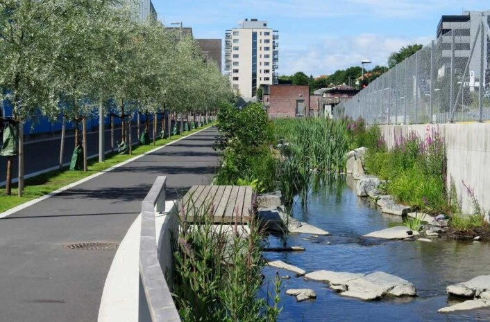 Hovinbekken er nylig åpnet fra Teglverksdammen til Risløkka. Rehabilitering av vassdraget er en del av planene for utviklingen av Hovinbyen. Foto: Plan- og bygningsetaten Hovinbekken er nylig åpnet fra Teglverksdammen til Risløkka. Rehabilitering av vassdraget er en del av planene for utviklingen av Hovinbyen. Foto: Plan- og bygningsetaten