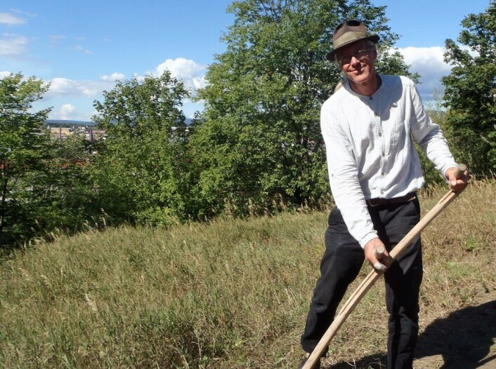 Mats Rosengren reiser verden rundt å lærer bort hvordan slå med ljå. Foto: Anders Høilund Mats Rosengren reiser verden rundt å lærer bort hvordan slå med ljå. Foto: Anders Høilund