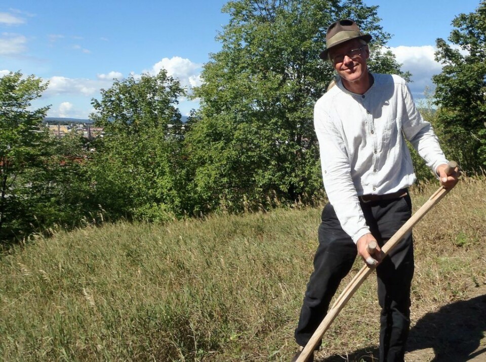 Mats Rosengren reiser verden rundt å lærer bort hvordan slå med ljå. Foto: Anders Høilund