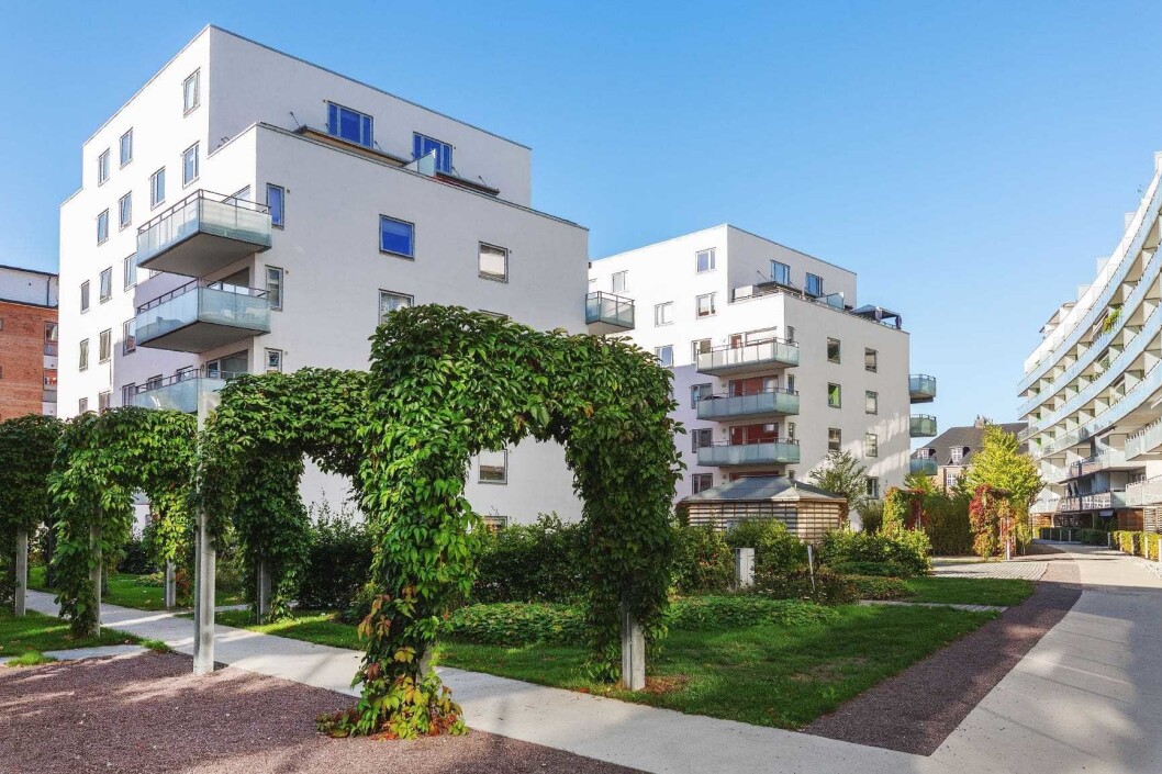 Dreieskivakvartalet borettslag får skryt for å ta godt vare på uteområdene sine. Foto: Nadia Frantsen Dreieskivakvartalet borettslag får skryt for å ta godt vare på uteområdene sine. Foto: Nadia Frantsen